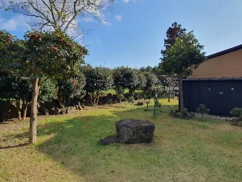 Green Sensitivity House Jeju Tatil Evi