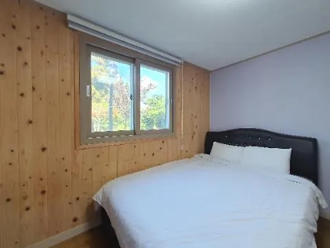 Green Sensitivity House Jeju Tatil Evi