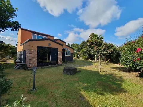 Tatil Evi Green Sensitivity House Jeju